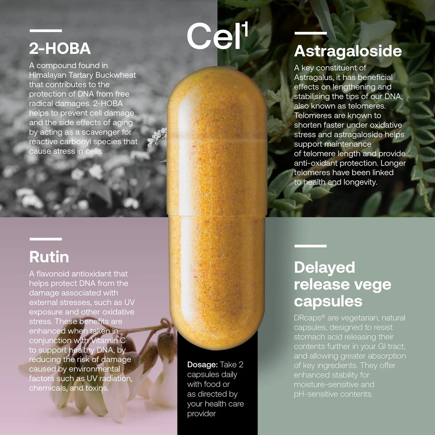 SRW Cel123 Cellular Rejuvenation Series