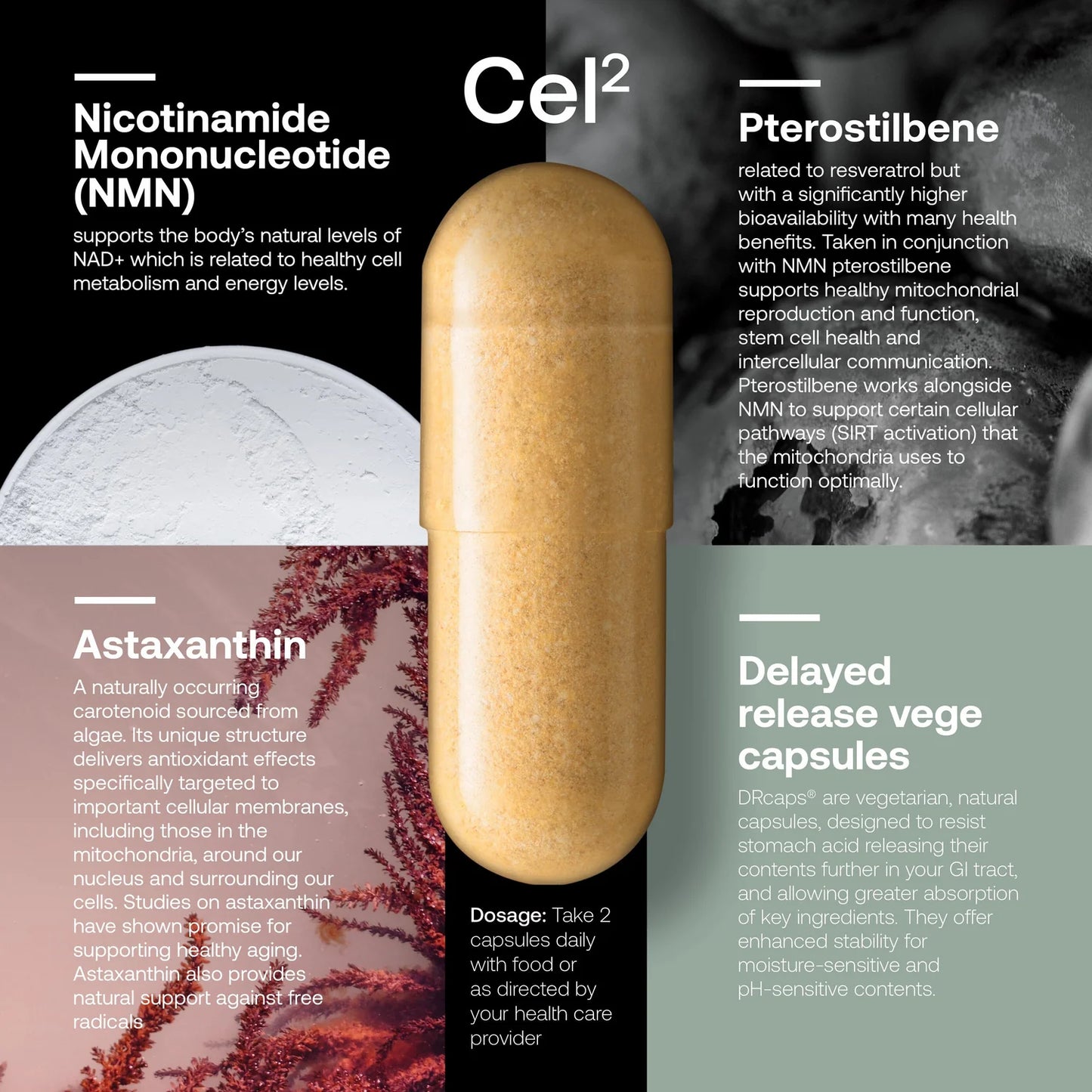 SRW Cel123 Cellular Rejuvenation Series
