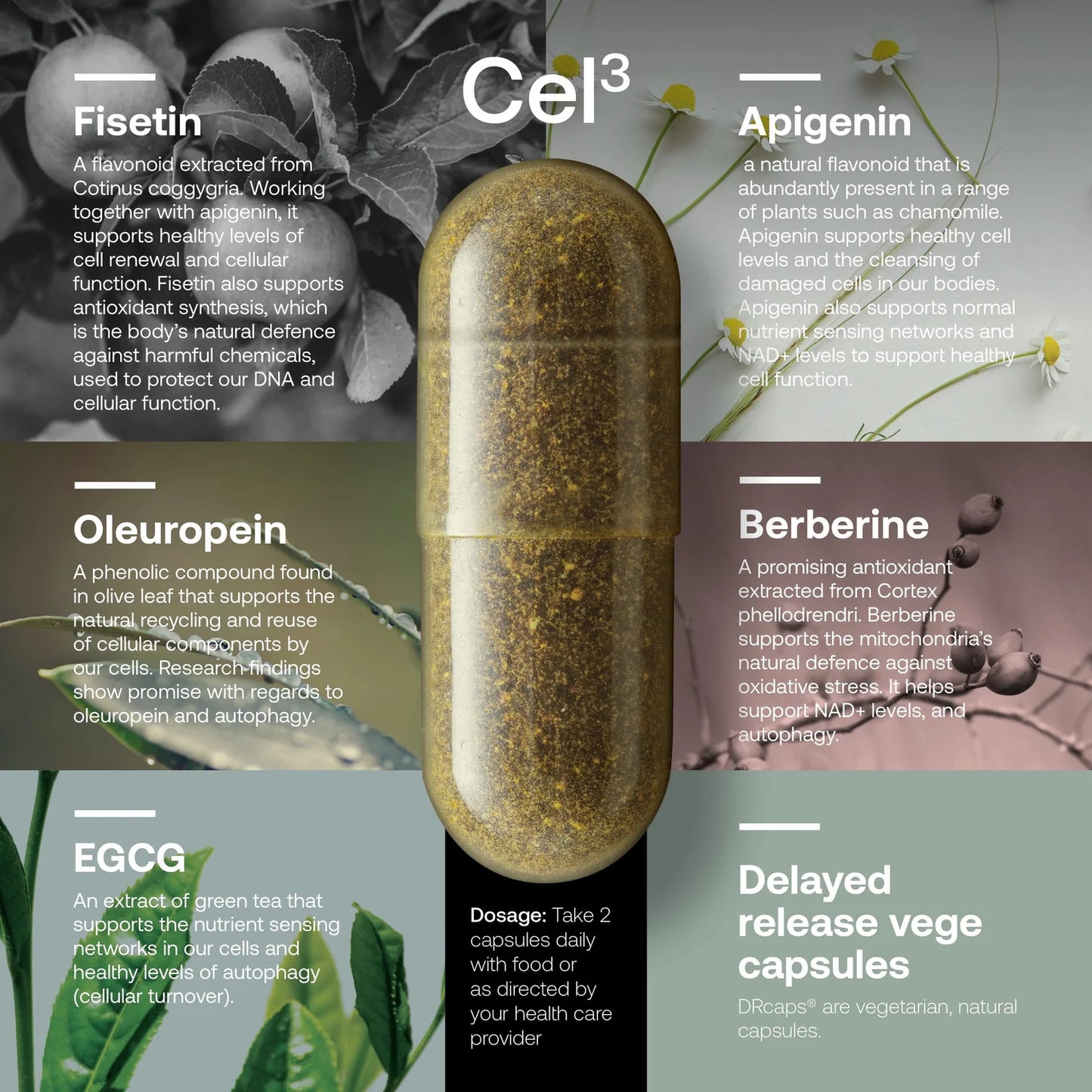 SRW Cel123 Cellular Rejuvenation Series